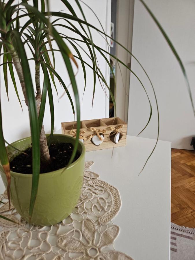 Cosy Apartment In The Heart Of Skopje Exteriér fotografie